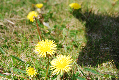c0172436_23462897.jpg
