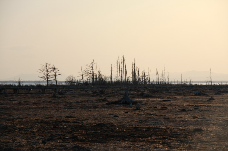 c0174937_1044815.jpg