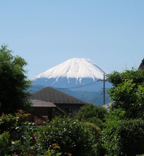 b0178339_1945531.jpg