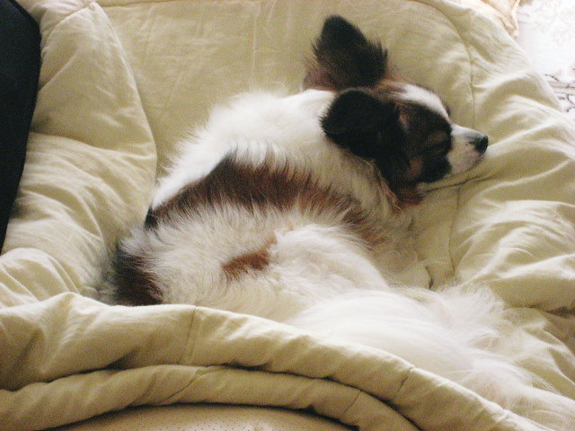 a0149240_11183671.jpg