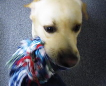 a0142343_1201081.jpg