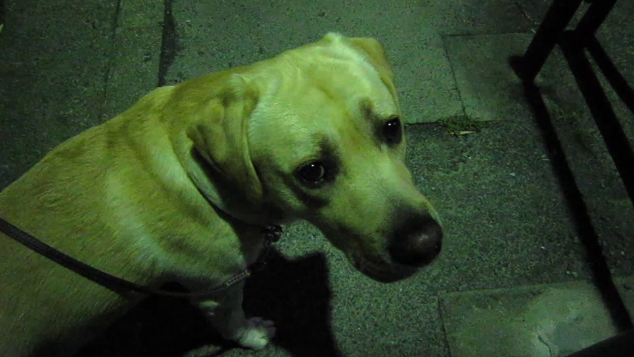 a0142343_124624.jpg