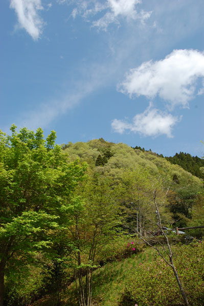 d0164443_1512566.jpg