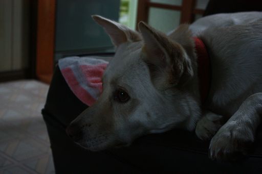 f0195543_2263365.jpg