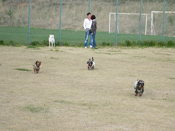 f0166645_1582217.jpg