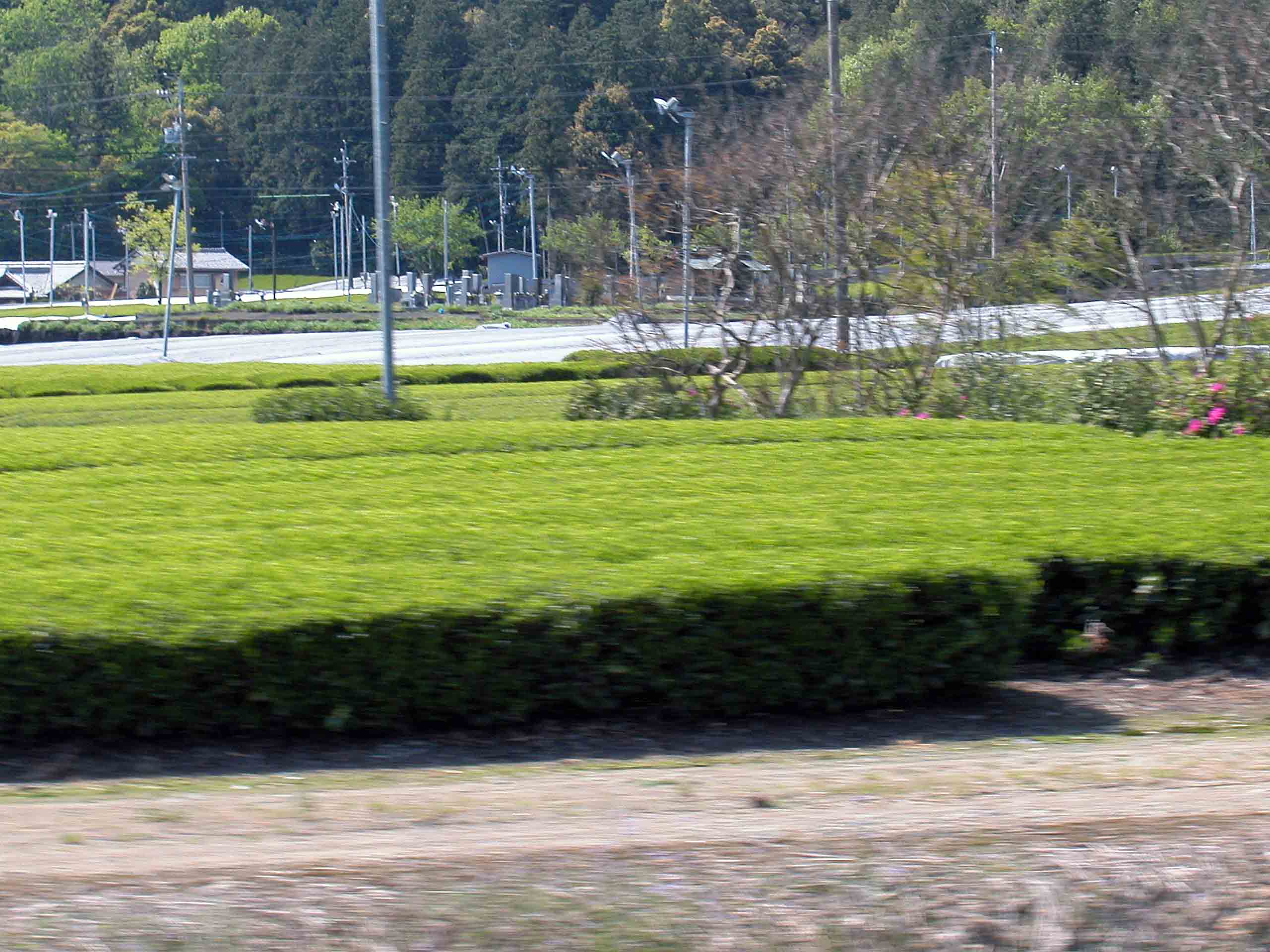 a0063846_22505960.jpg