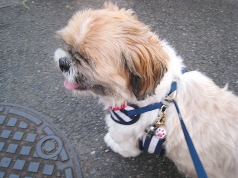 c0043751_140178.jpg