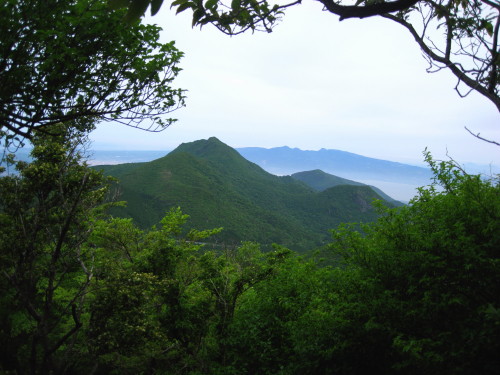 c0179351_18555427.jpg