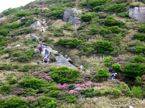 c0179351_1911098.jpg