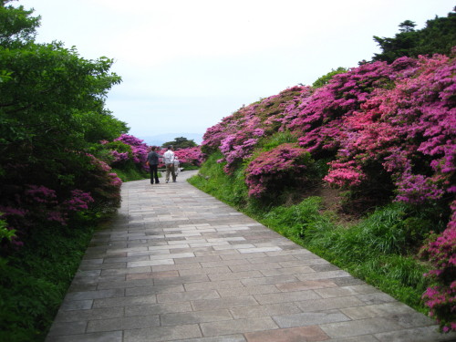 c0179351_1932073.jpg