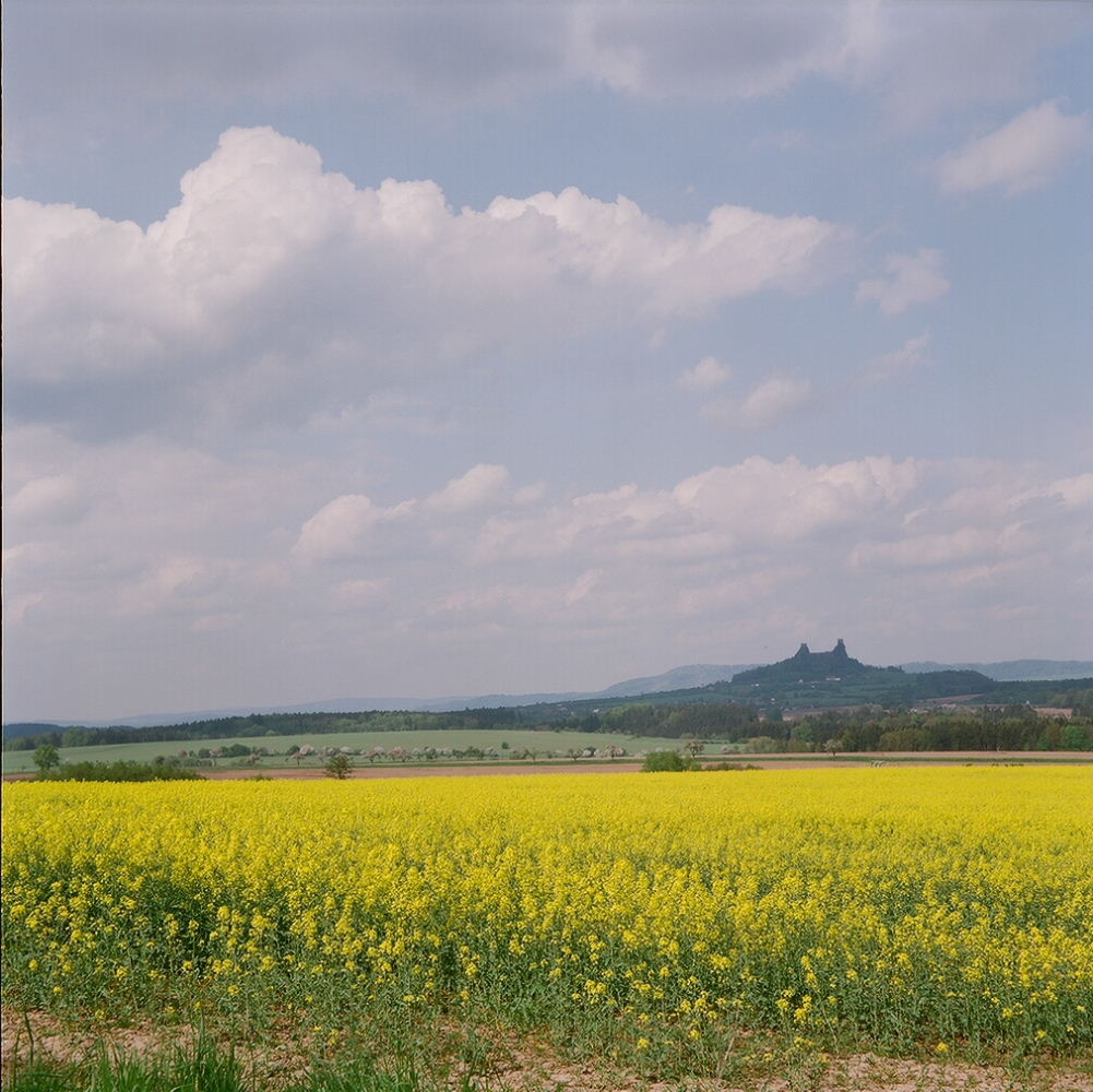 e0134658_12245100.jpg