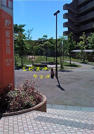 f0177261_12242294.jpg