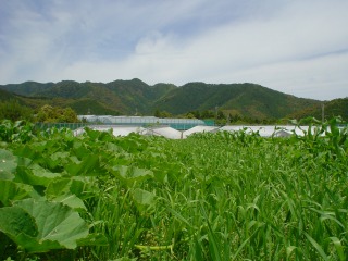 f0055264_2133214.jpg