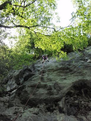 b0083170_10325959.jpg