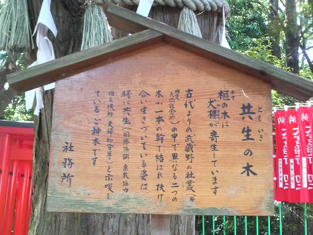 b0034072_19553632.jpg