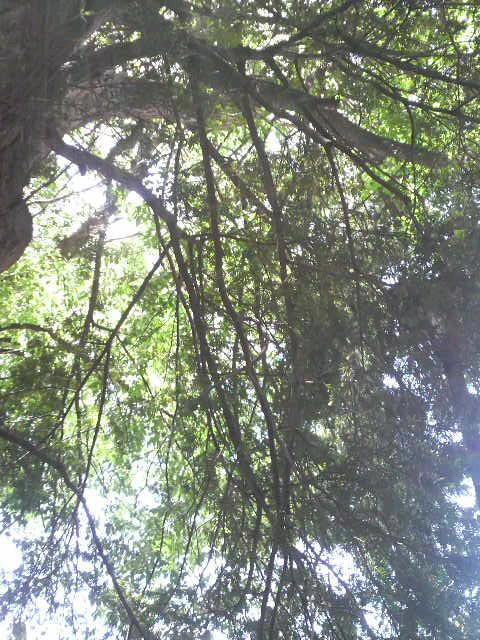 b0034072_195839.jpg