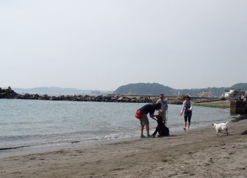 f0045872_15472983.jpg