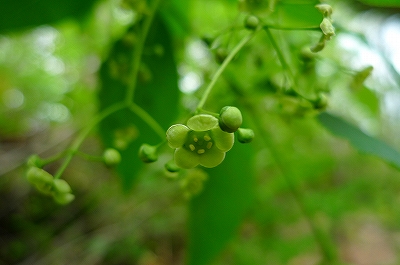 f0182173_13175598.jpg