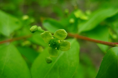 f0182173_13181958.jpg