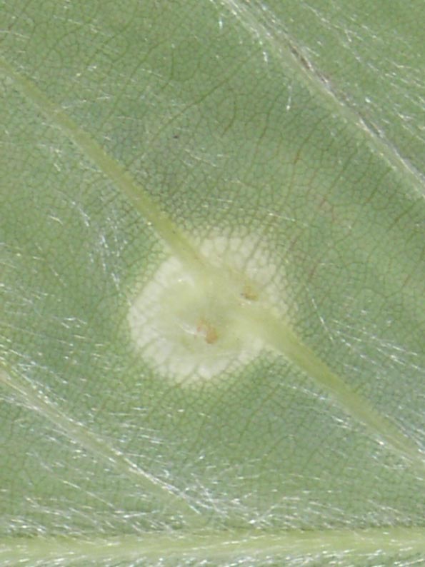 e0118274_2224239.jpg