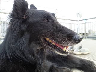 c0052779_17265576.jpg