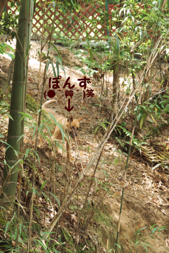 c0117383_17161948.jpg