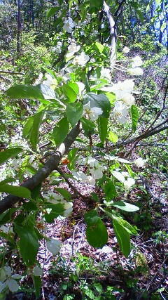 a0130586_17251750.jpg