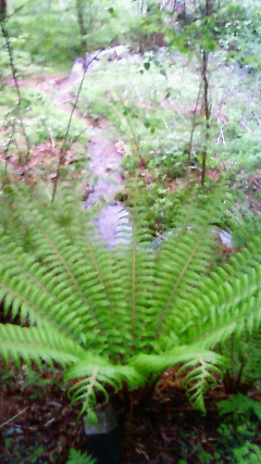 a0130586_20391518.jpg