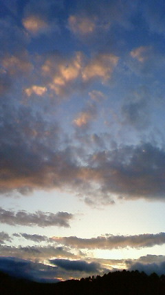 a0130586_921986.jpg