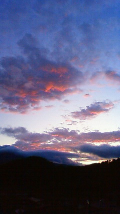 a0130586_944559.jpg