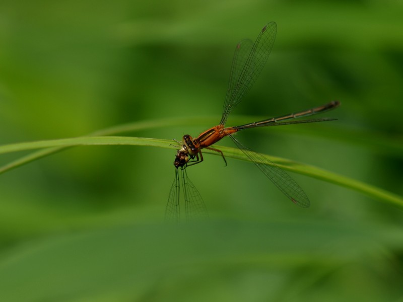 b0108186_2332392.jpg