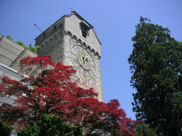 c0188086_11422.jpg