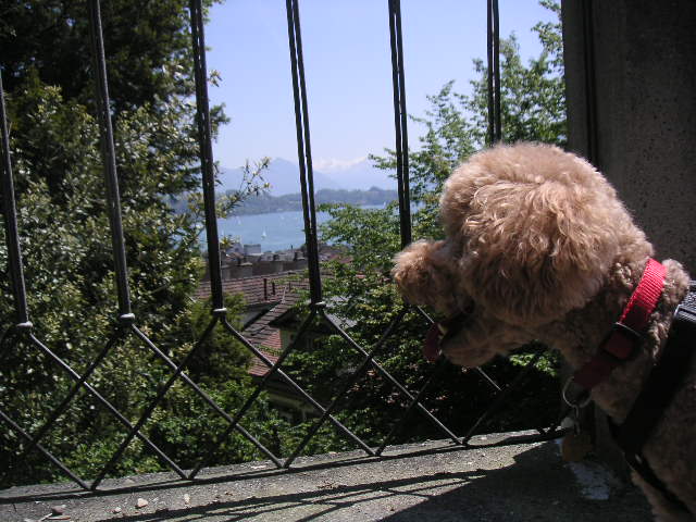 c0188086_121947.jpg