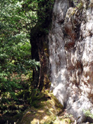 c0018489_023184.jpg
