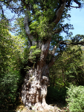 c0018489_063511.jpg