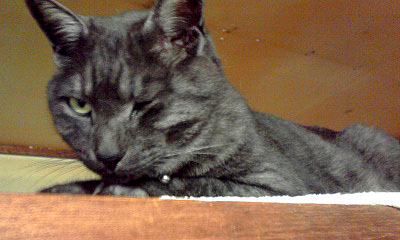 c0206596_16245688.jpg