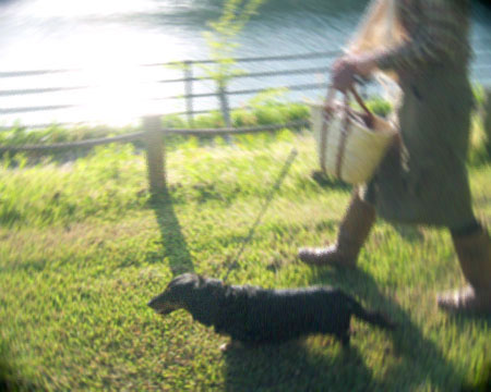 d0077603_1101741.jpg