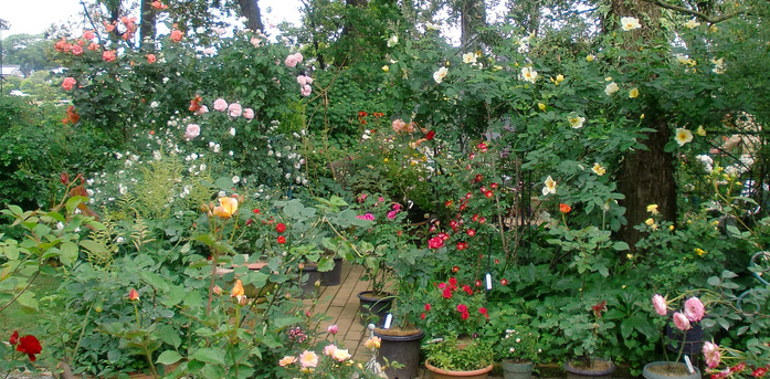 f0162908_23334632.jpg