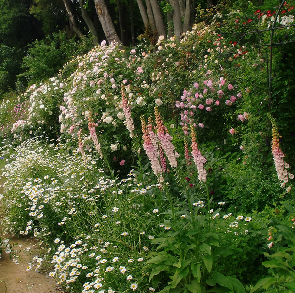 f0162908_2336479.jpg