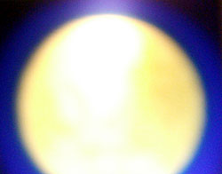 e0139012_1861459.jpg
