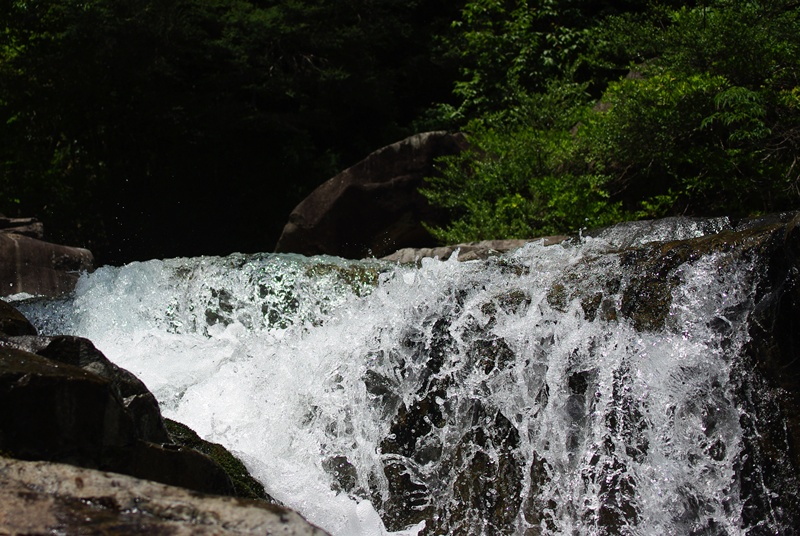 f0195813_2256263.jpg