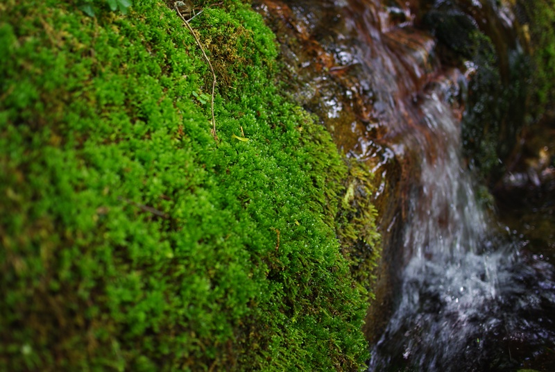 f0195813_225663.jpg