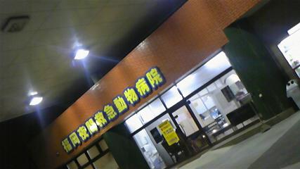 b0145616_17403369.jpg