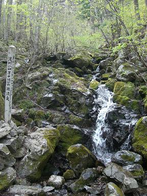 c0037116_18425490.jpg