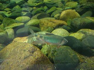 c0037116_18451984.jpg