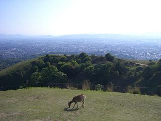 c0037116_18492530.jpg