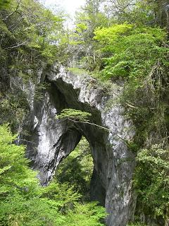 c0037116_18543930.jpg