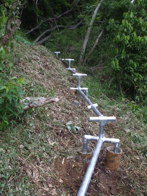 b0096418_10324084.jpg