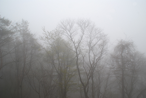 d0042618_15133910.jpg