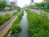 f0200221_2114348.jpg